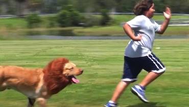 MEGLIO CORRERE O CAMMINARE PER DIMAGRIRE ?